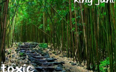 King Jahi “Toxic Lyrics” EP